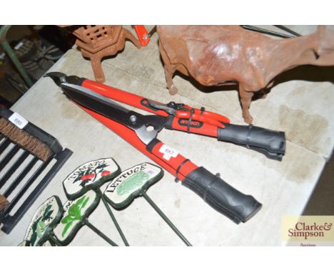 A lopper, shears and secateurs set