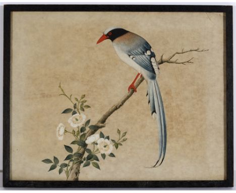 CHINESE SCHOOL (EARLY 20TH CENTURY)  Portrait of a Scholar,  gouache, unsigned, 40cm x 31cm; and Bird on a Branch with Blosso