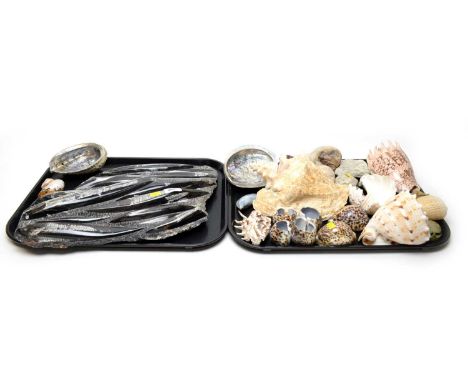 A decorative orthoceras fossil; together with a selection of mineral specimens and shells.