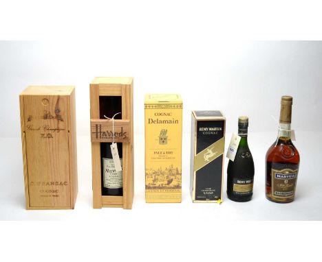 A selection of bottles of cognac, including: two Remy Martin Champagne Cognac, 35cl, 40%, one boxed; a Martell Fine Cognac, 7