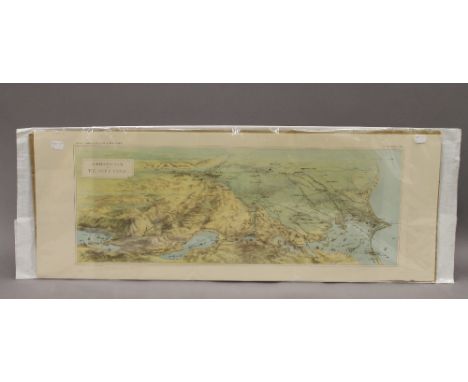 A Birds Eye View of The Suez Canal, print, Special Gratis Supplement of the Graphic 2nd September 1882. 84.5 cm long.