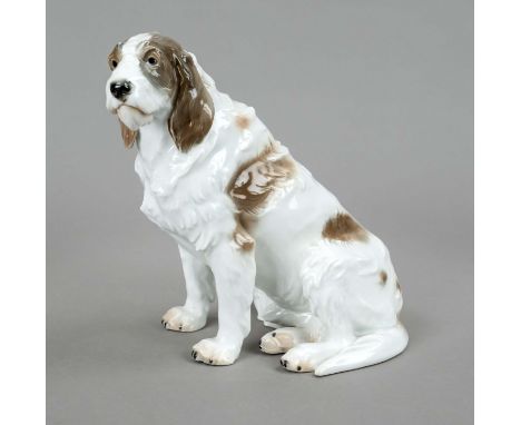 English Setter, Rosenthal, Selb, 1928, Entwurf Ottmar Obermaier um 1926, u. bez., Modellnr. 253, sitzender Setter in naturget