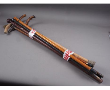 Two Malacca walking sticks, an ebonised evening cane, a blackthorn stick and four other sticks 