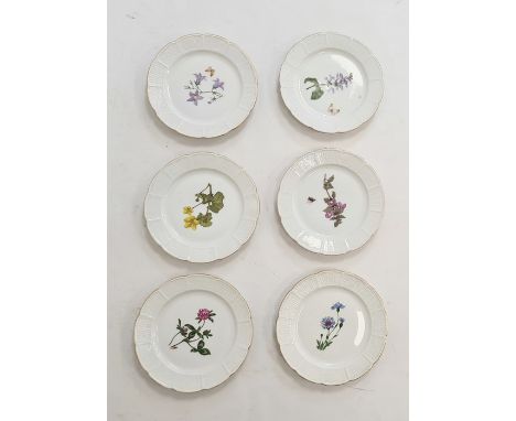 Set of six Nymphenburg porcelain plates, each individually decorated with botanical designs Condition ReportGenerally good co