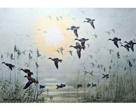 Peter Scott (mid 20th century) Colour print Geese in flight, signed in pencil to margin lower right, dated to print 1953, 38c