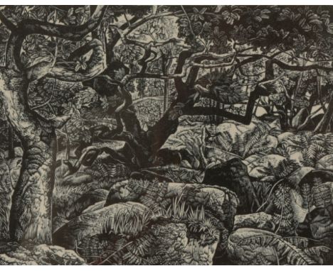 *HOWARD PHIPPS (B. 1954) 'Wistmans Wood' signed, titled, dated 1987 and numbered 67/100 in pencil to the margin, woodcut, the