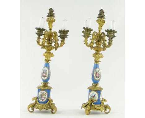 A pair of 19th century ormolu and porcelain candelabra
with Sevres style ceramic columns with panels painted with birds and f