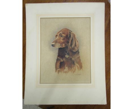 Watercolour of Golden Retriever signed Frank R Bassett (Image size 25cm x 33cm)