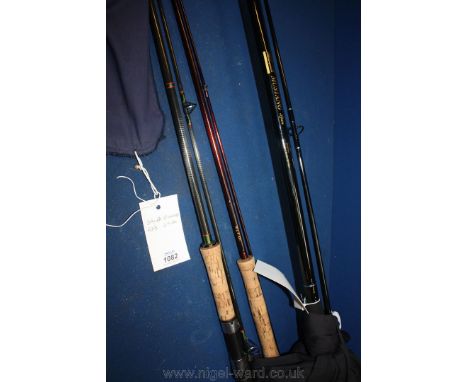 A Shakespeare spinning Rod with reel and a Daiwa spinning Rod, both 2.7 metres long