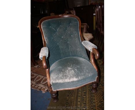 A Gent's Salon Armchair, having Mahogany squared hoop show frame back, padded arms with scroll ends, grey/blue velvet button 