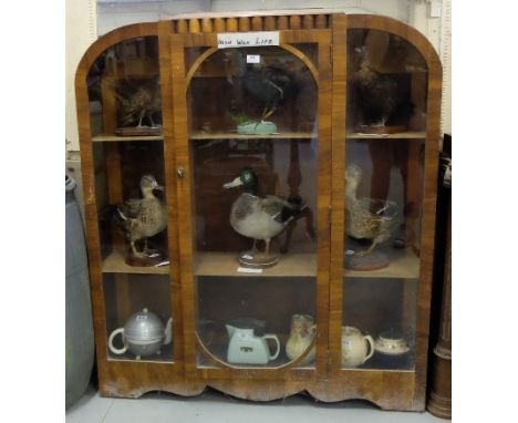 1950’s walnut display cabinet, Art Nouveau style, 45”w x 51”h, single door