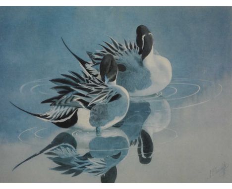 Charles Frederick Tunnicliffe, Pintail Ducks, signed, limited edition colour print number, 462/500, 38 x 50cm.