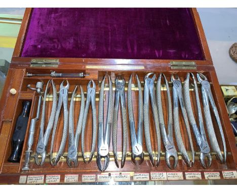 A cased set of Army Medical Department Tooth Instruments, 12 pliers and a tooth key with ebony handle, by Evans and Wormall, 