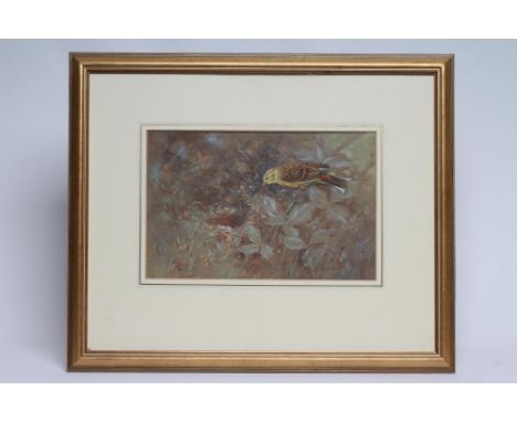 ALLEN WILLIAM SEABY (1867-1954) A Yellowhammer Near It's Nest, watercolour and pencil heightened with white, signed, 9 1/2" x