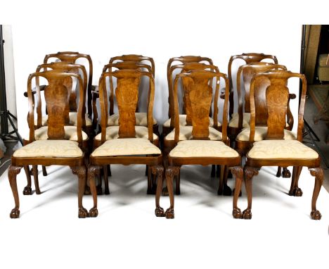 A set of twelve walnut dining chairs. Ten chairs plus two carvers with cream upholstered drop in seats, on cabriole legs with