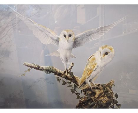 A limited edition signed print of Spencer Hodge 'barn owls, framed and glazed, 73.5cm x 81.2cm, together with a pair of frame