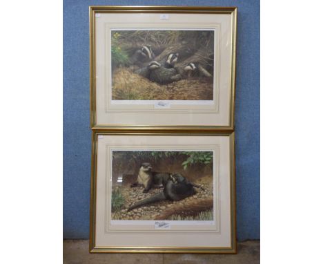 A pair of Adrian C. Rigby signed prints, Badgers and Otters, framed 