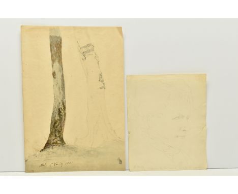 CORNELIUS VARLEY (1781-1873) A BOTANICAL PENCIL SKETCH, a study of Ash trees, signed, titled and dated 1801, pencil watercolo