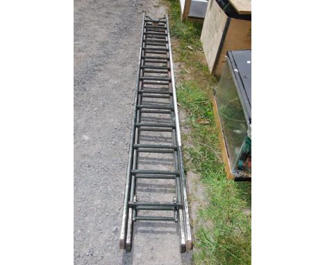 A 14 rung extendable ladder.