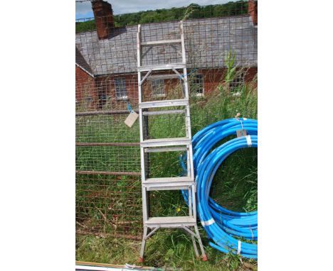 A six rung double step ladder.