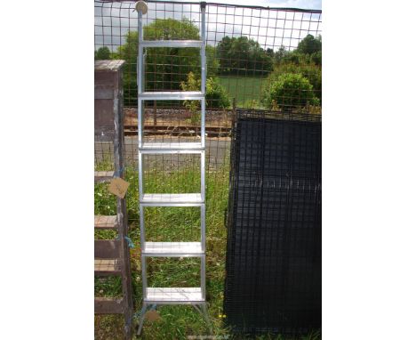 An aluminium six rung opening ladder.