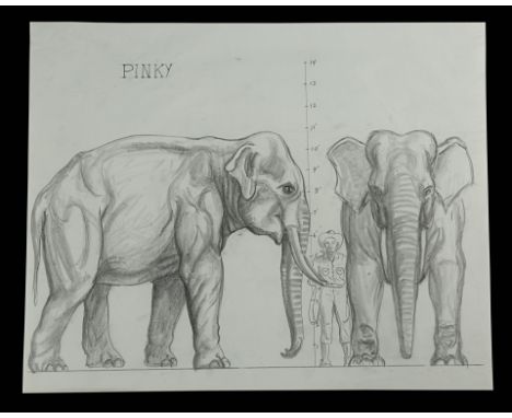 THE VALLEY OF GWANGI (1969) - Hand-drawn Ray Harryhausen "Pinky the Elephant" Scale ComparisonA hand-drawn "Pinky the Elephan