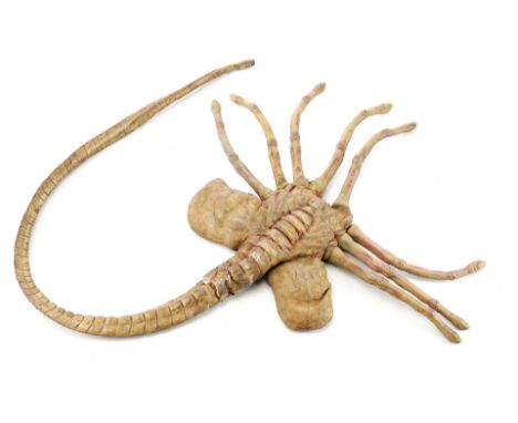 ALIENS (1986) - Stunt FacehuggerA stunt facehugger from James Cameron's sequel Aliens. Xenomorph facehuggers latched onto the