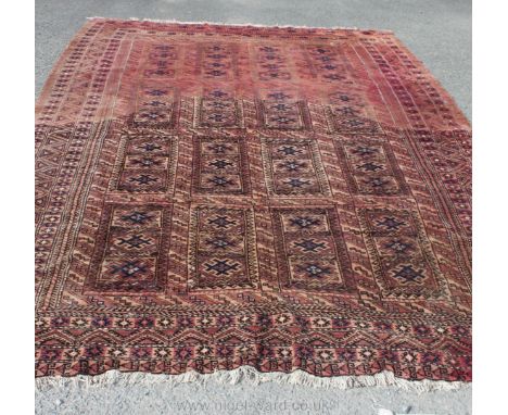 An Atekke Carpet Turkmen - Turkmenistan, 400cm x 230cm (13' 1" x 7' 7")