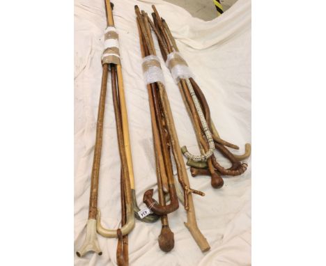 Approximately 15 Walking Sticks and Shepherd's Crooks including one with a Lion Heads Handle and a Sharks Vertebrae Stick (a/