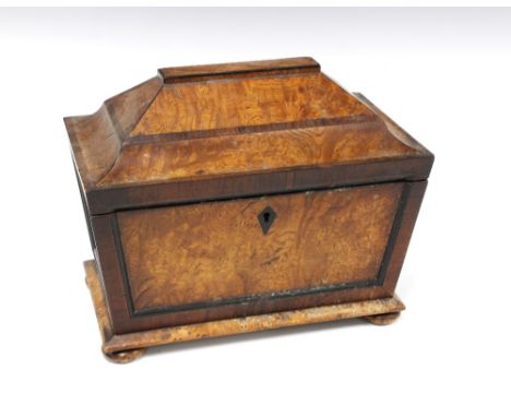Burrwood sarcophagus tea caddy, 22 x 25cm 