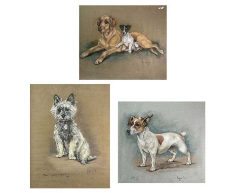 Marjorie COX (1915-2003)Three dog studies$6x54cm, 46x36cm and 38x41cmCondition report: Each work is pastel on paper. There ar