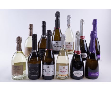 12 BOTTLES PROSECCOBorgo Molino 2 x Motivo Brut 2022; Cantine Maschio 2 x Tesco Finest Brut NV; GIV 2 x Plaza Centro Brut NV;