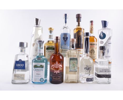 12 BOTTLES TEQUILA1800 Tequila Blanco; Suave Tequila Lunar Silver and Blanco; Cenote Blanco and Reposado; Villa One Reposado;