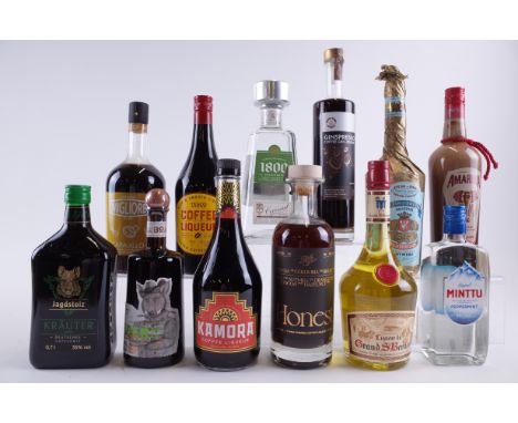 12 BOTTLES VARIOUS LIQUEURSJagdstolz Kräuter; Migliore Carajillo; Caliber1844 Black Forest (50cl); Tesco Coffee; Kamora Coffe