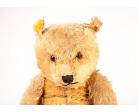 A post-war Chiltern Hugmee Teddy Bear, with golden mohair, orange and black glass eyes, black stitched nose, mouth and claws,