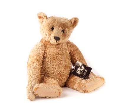 ‘Teddy Bear’ - A large and early Steiff Teddy Bear, circa 1907, with golden mohair, black boot button eyes, pronounced clippe