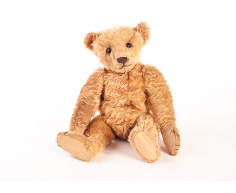 An early Steiff blank button Teddy Bear, circa 1904, with golden mohair, black boot button eyes, pronounced muzzle, black sti