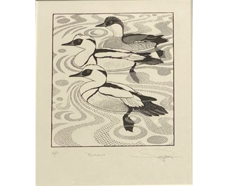 Colin See-Paynton, Quietude of Swans, 33/150, 20x15cm, Ring Ousel, 14/100, 15x10cm, Smew, Artists Proof, 14x10cm, Gaggle of G