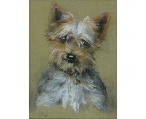 Maud Earl (1864-1943),
coloured pastels, portrait of a terrier, signed with her married name Maud West, 10" x 7.5", framed.