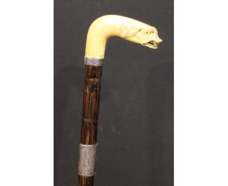 An early 20th century novelty walking stick, the faux-ivory handle as the head of an animal, palmwood cane, 88cm long 