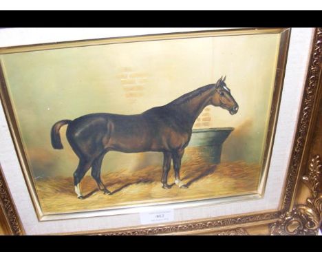 Modern oil on panel - race horse in stables - 20cm x 24cm 