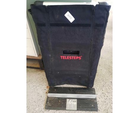 Telescopic ladder