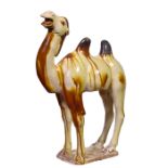 A CHINESE SANCAI-GLAZED POTTERY MODEL OF A BACTRIAN CAMEL, TANG DYNASTY, 618 – 907 AD