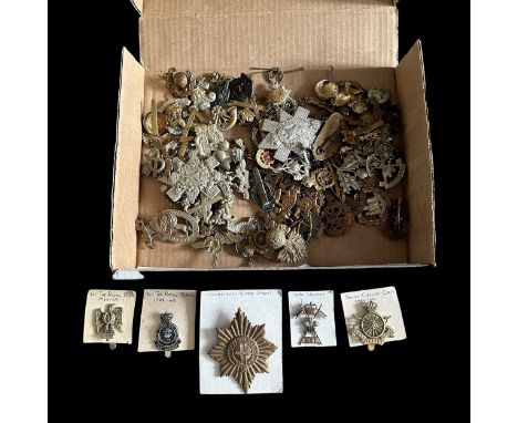 Cap Badges collection, including many better, with Artists, Northamptonshire Yeomanry, Cameron, Manchester, The Royal Highlan