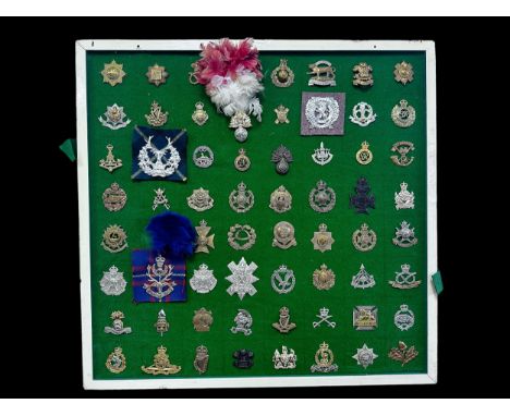 Cap Badges, organised range of well-presented cap badges some better, to include; Coldstream Guards, Kensington Regiment, Roy
