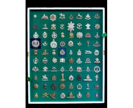 Cap Badges, organised range of well-presented cap badges some better, to include; Royal Anglian, Kings Liverpool, Kings Royal