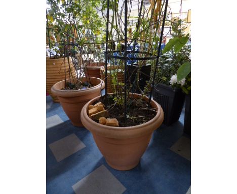 A Large Circular Plastic Planter Containing Metal Climbing Frame and Shrub, 64cm Diameter