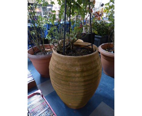 A Barrel Shaped Plastic Planter with Metal Climbing Frame Containing Rose Bushes, 58cm Diameter