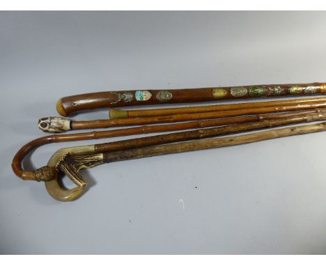A Collection of Six Wooden Walking Sticks to Include Horn and Bone Handle, Owl Finial Etc  