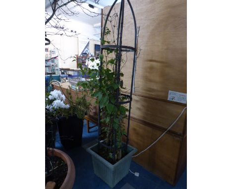 A Plastic Square Planter with Metal Climbing Frame 
